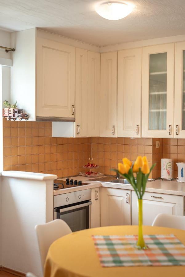 טרוגיר Apartment Dinka מראה חיצוני תמונה