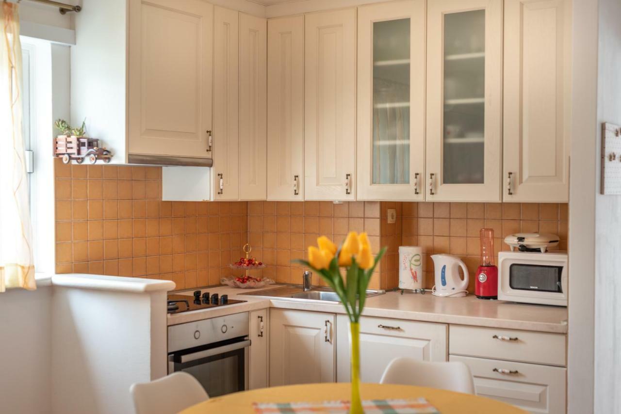 טרוגיר Apartment Dinka מראה חיצוני תמונה